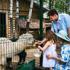 Гостевой дом Ruza Family Park, Московская область