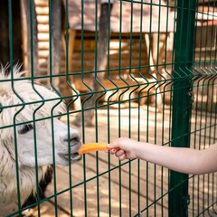 Гостевой дом Ruza Family Park, Московская область