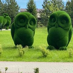 Гостевой дом Ruza Family Park, Московская область