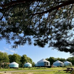 Глэмпинг Yurt Resort, Татарстан