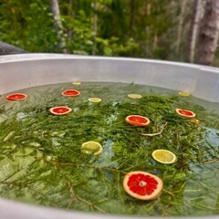 Глэмпинг Я на Базе, Республика Карелия