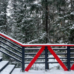 Глэмпинг Я на Базе, Республика Карелия