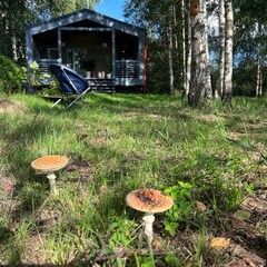 Частный дом FrauBu.Camp, Московская область