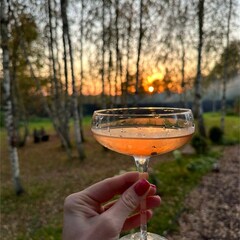 Частный дом FrauBu.Camp, Московская область