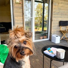 Частный дом FrauBu.Camp, Московская область