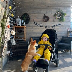 Частный дом FrauBu.Camp, Московская область