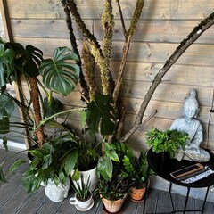 Частный дом FrauBu.Camp, Московская область