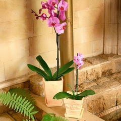 Гостевой дом Марианна, Краснодарский край