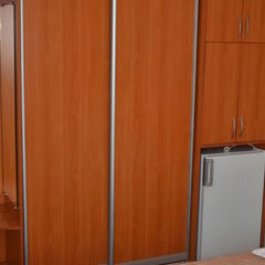 Санаторий им. Цюрупы, Воронежская область