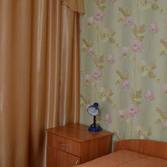 Санаторий им. Цюрупы, Воронежская область