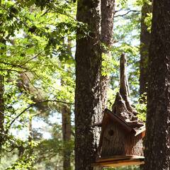 Отель Konak House, Республика Карачаево-Черкесия 