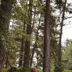 Отель Konak House, Республика Карачаево-Черкесия 