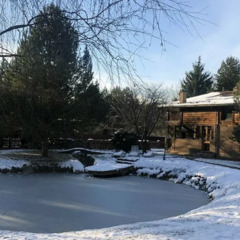 Гостевой дом в Рогачево, Калужская область