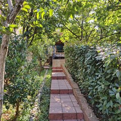 Гостевой дом Сибиряк, Краснодарский край