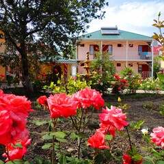 Пансионат Орхидея, Крым