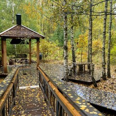 Эко-отель Лапочкино гнездо, Тульская область