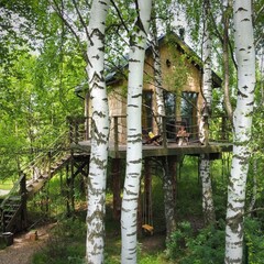 Эко-отель Лапочкино гнездо, Тульская область