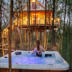 Эко-отель Лапочкино гнездо, Тульская область