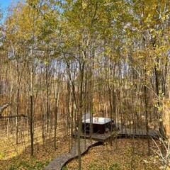 Эко-отель Лапочкино гнездо, Тульская область