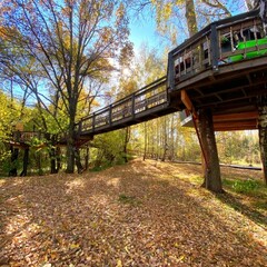 Эко-отель Лапочкино гнездо, Тульская область