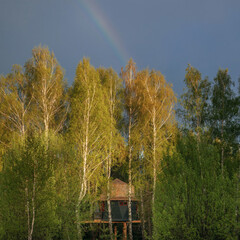 Эко-отель Лапочкино гнездо, Тульская область
