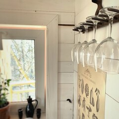 Эко-отель Лапочкино гнездо, Тульская область