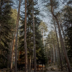 База отдыха ДухЛеса, Республика Карачаево-Черкесия 