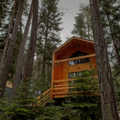 База отдыха ДухЛеса, Республика Карачаево-Черкесия 