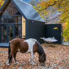 База отдыха Woodvillas, Республика Карачаево-Черкесия 