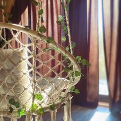 Глэмпинг Miframe, Московская область