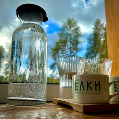 Парк-отель Ёлки, Архангельская область