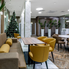 Курорт Новая Истра, Истра, Московская область