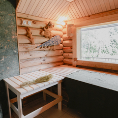 База отдыха Николин Хутор , Московская область