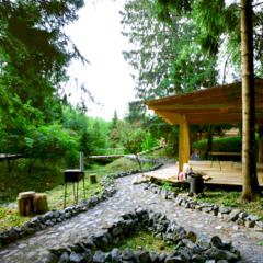 База отдыха Николин Хутор , Московская область