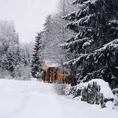 База отдыха Николин Хутор , Московская область