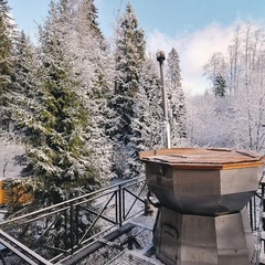 База отдыха Николин Хутор , Московская область