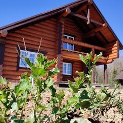 База отдыха Николин Хутор , Московская область