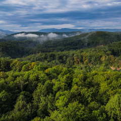 Глэмпинг Время гор, Республика Адыгея