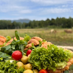Глэмпинг Время гор, Республика Адыгея
