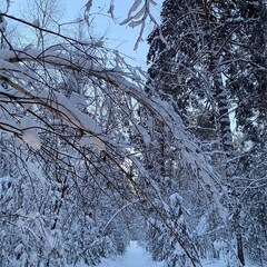 Глэмпинг Монте Карло, Татарстан
