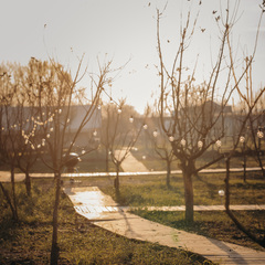 Глэмпинг APPARADISE GLAMPING & SPA, Краснодарский край