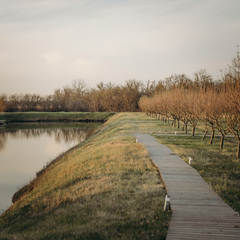 Глэмпинг APPARADISE GLAMPING & SPA, Краснодарский край