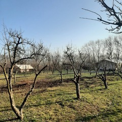 Глэмпинг APPARADISE GLAMPING & SPA, Краснодарский край