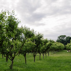 Глэмпинг APPARADISE GLAMPING & SPA, Краснодарский край