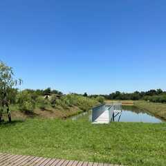 Глэмпинг APPARADISE GLAMPING & SPA, Краснодарский край