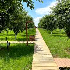 Глэмпинг APPARADISE GLAMPING & SPA, Краснодарский край