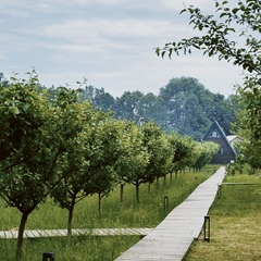 Глэмпинг APPARADISE GLAMPING & SPA, Краснодарский край