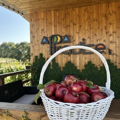 Глэмпинг APPARADISE GLAMPING & SPA, Краснодарский край