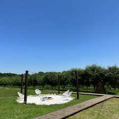 Глэмпинг APPARADISE GLAMPING & SPA, Краснодарский край