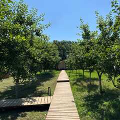 Глэмпинг APPARADISE GLAMPING & SPA, Краснодарский край